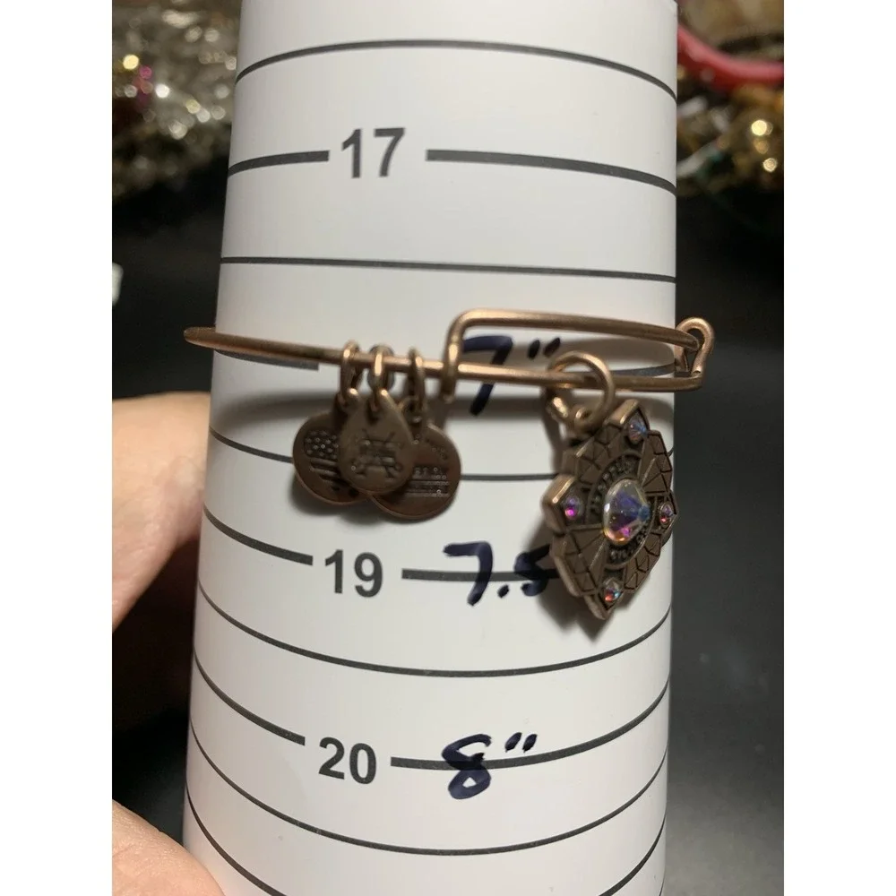 ALEX & ANI 